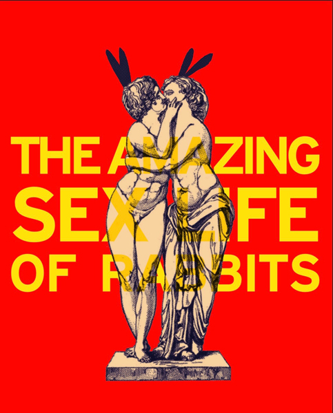 The Amazing Sex Life of Rabbits - opening at SoHo Playhouse in March 2026